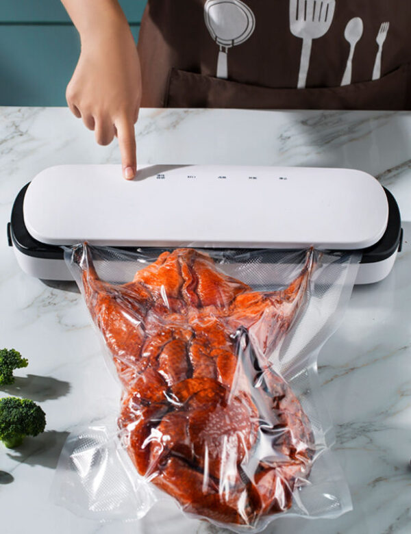 food-vacuum-sealer-food-saver