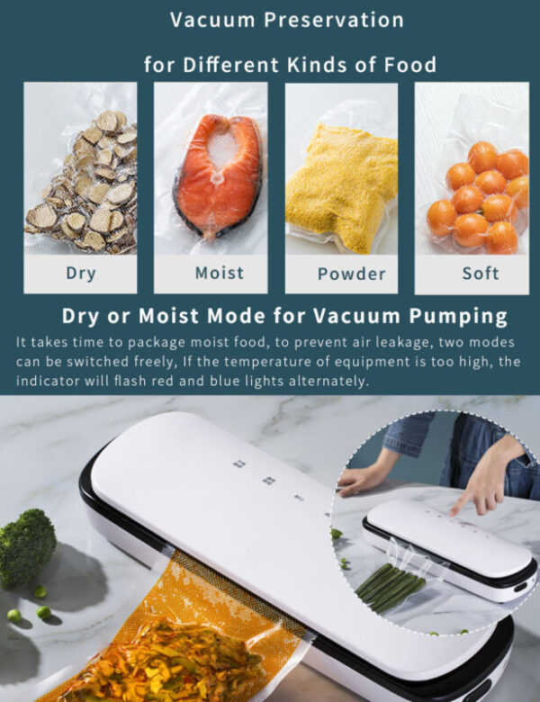 food-vacuum-sealer-food-savers