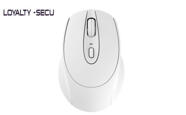 wireless-bluetooth-5.0-2.4G-mouse