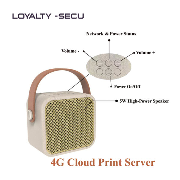 Cloud print server solution customization